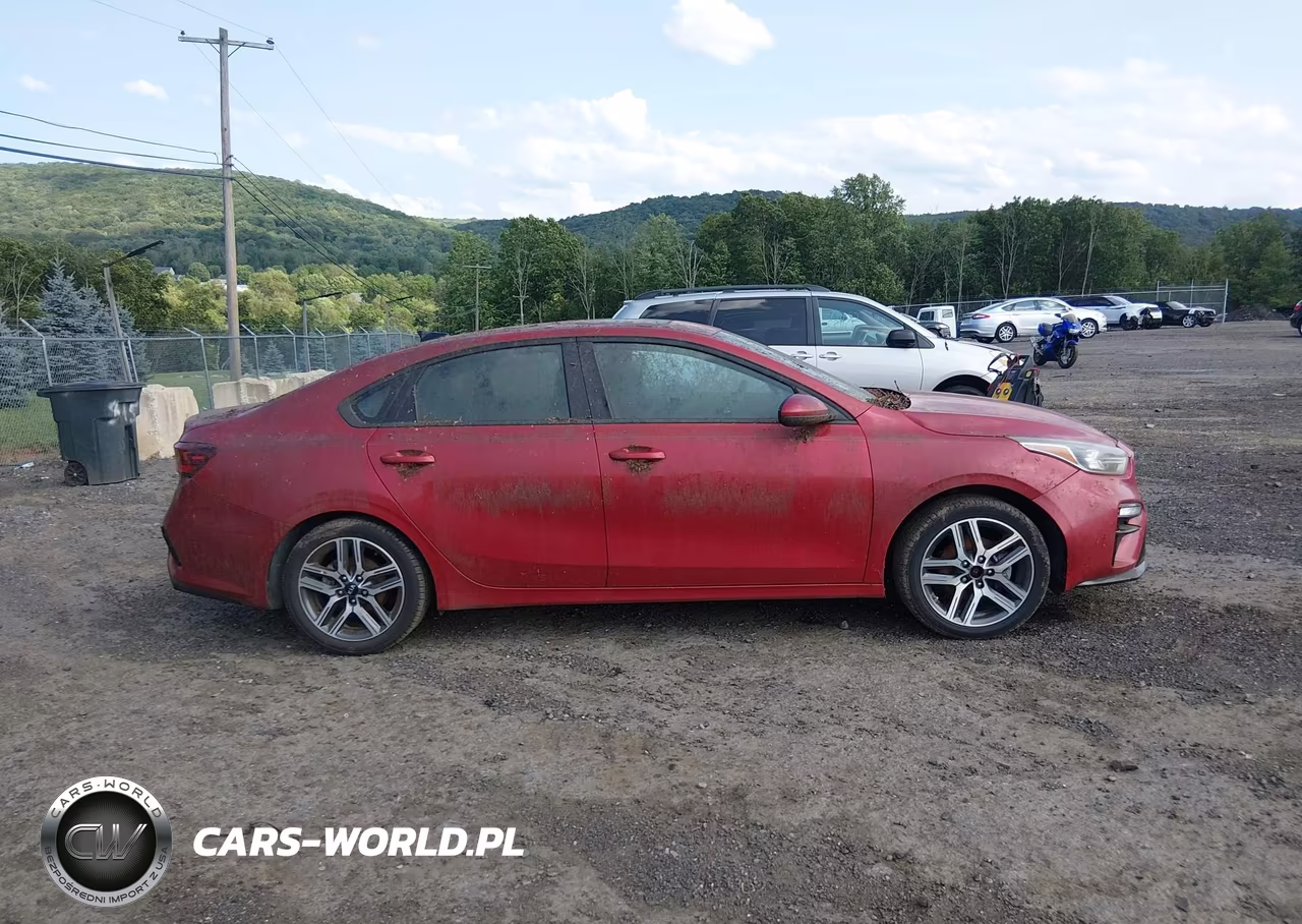 2019 Kia Forte S VIN:3KPF34ADXKE007896 - 13