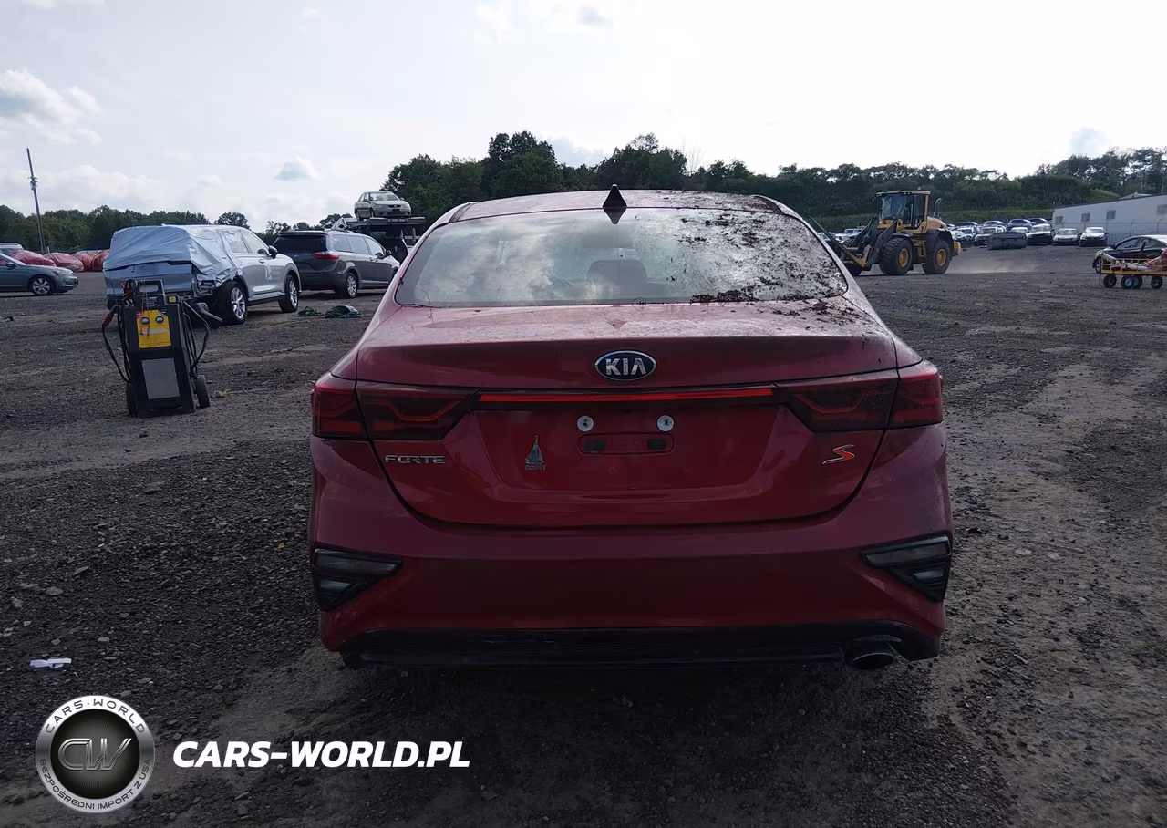 2019 Kia Forte S VIN:3KPF34ADXKE007896 - 16