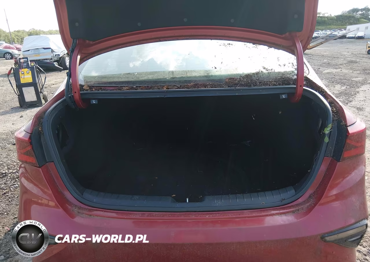 2019 Kia Forte S VIN:3KPF34ADXKE007896 - 17