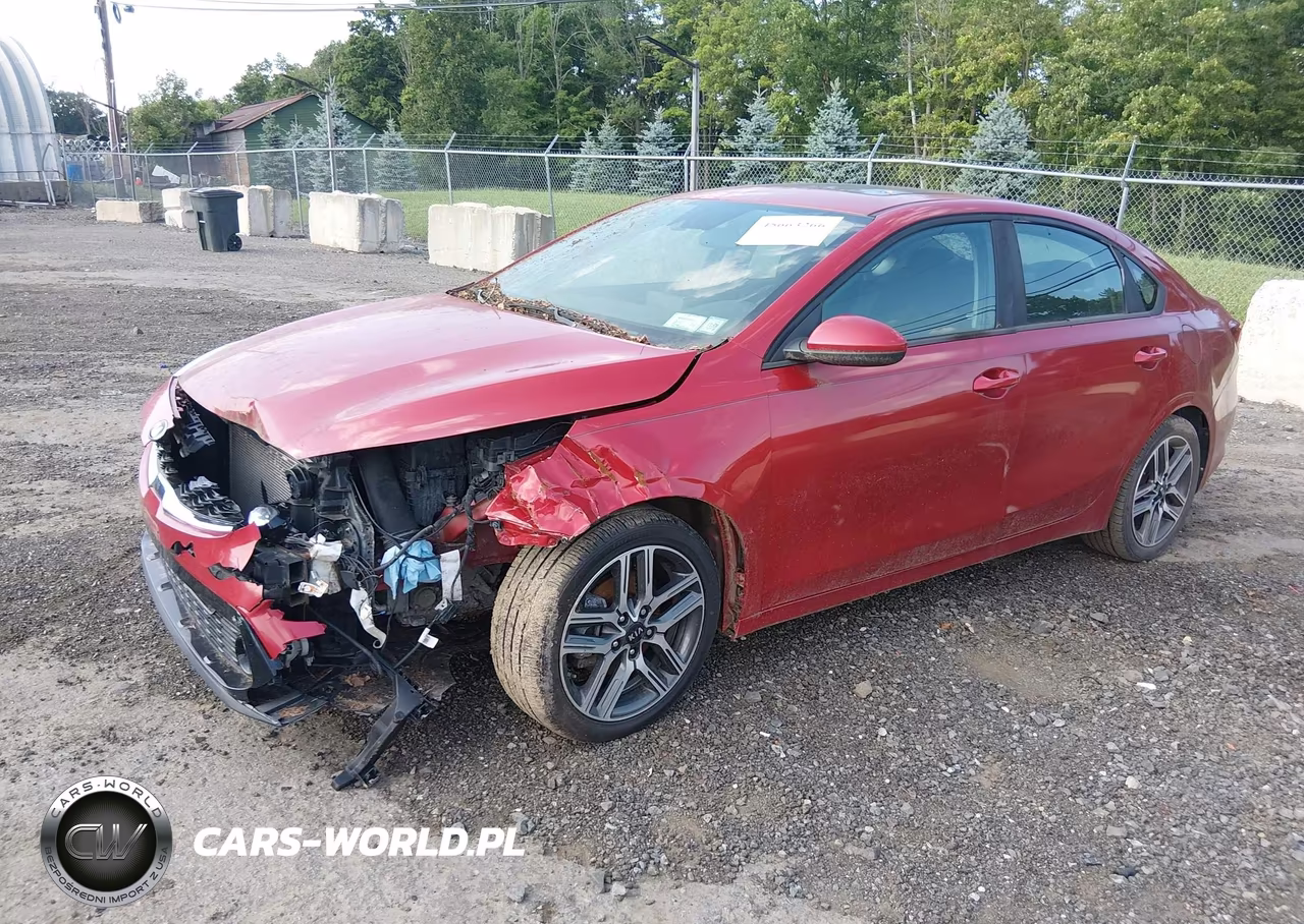 2019 Kia Forte S VIN:3KPF34ADXKE007896 - 2
