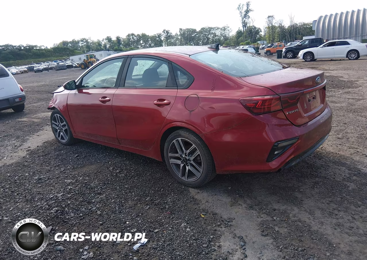 2019 Kia Forte S VIN:3KPF34ADXKE007896 - 3