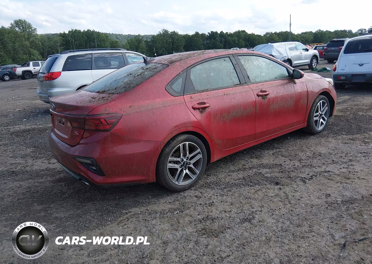 2019 Kia Forte S VIN:3KPF34ADXKE007896 - 4
