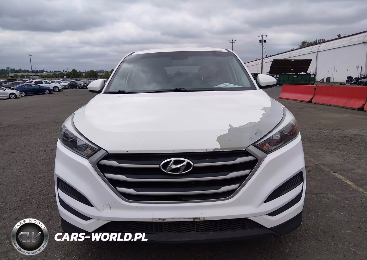 2018 Hyundai Tucson Se VIN:KM8J23A46JU659806 - 13