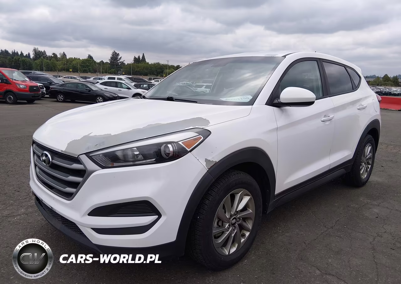 2018 Hyundai Tucson Se VIN:KM8J23A46JU659806 - 2