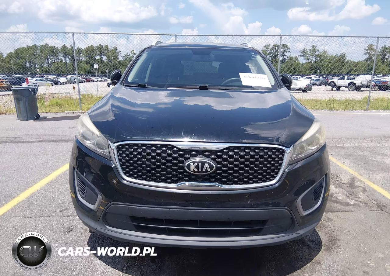 2016 Kia Sorento 3.3L Lx VIN:5XYPG4A59GG141665 - 12