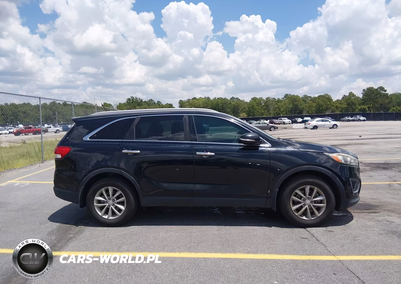 2016 Kia Sorento 3.3L Lx VIN:5XYPG4A59GG141665 - 13