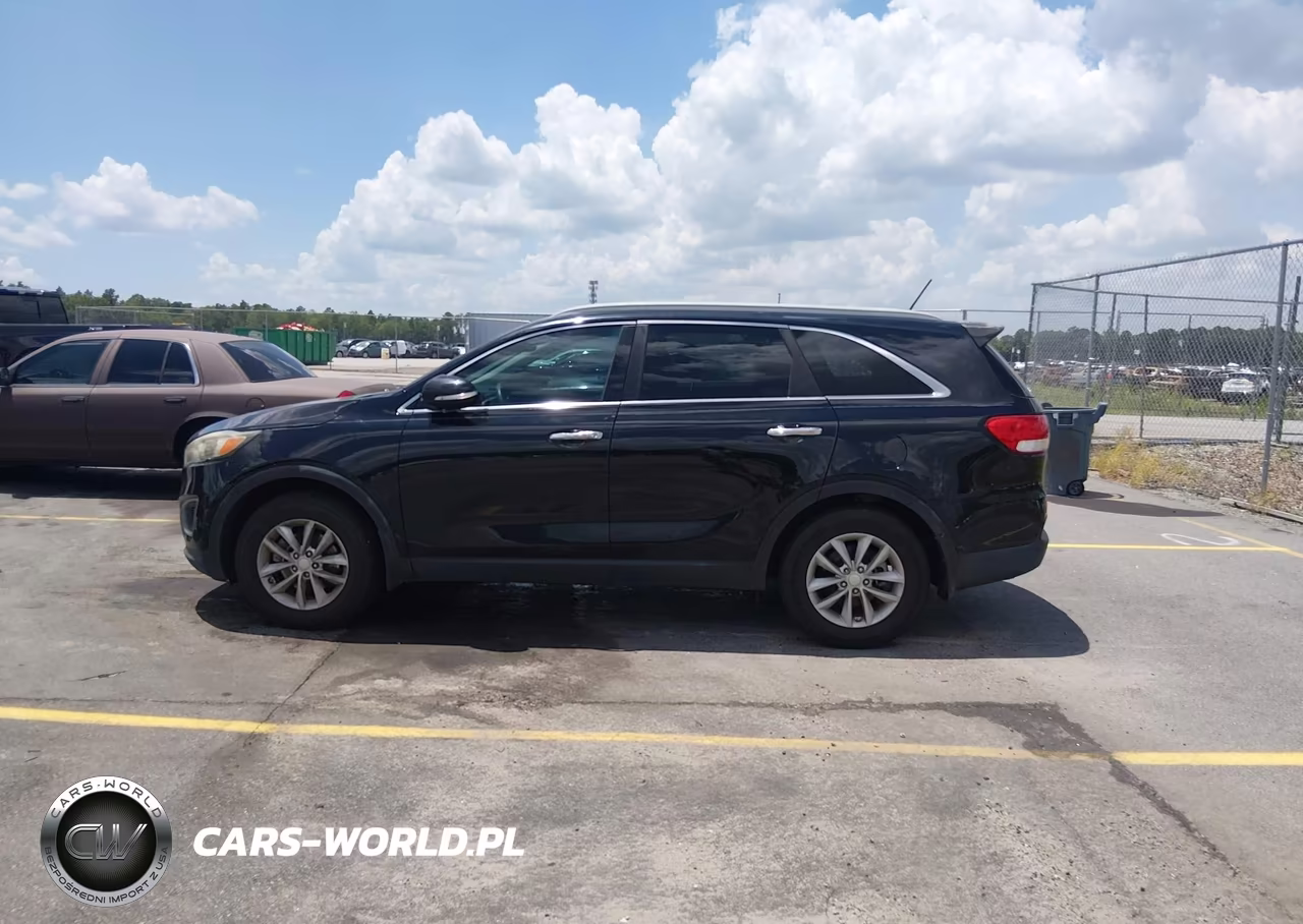 2016 Kia Sorento 3.3L Lx VIN:5XYPG4A59GG141665 - 14