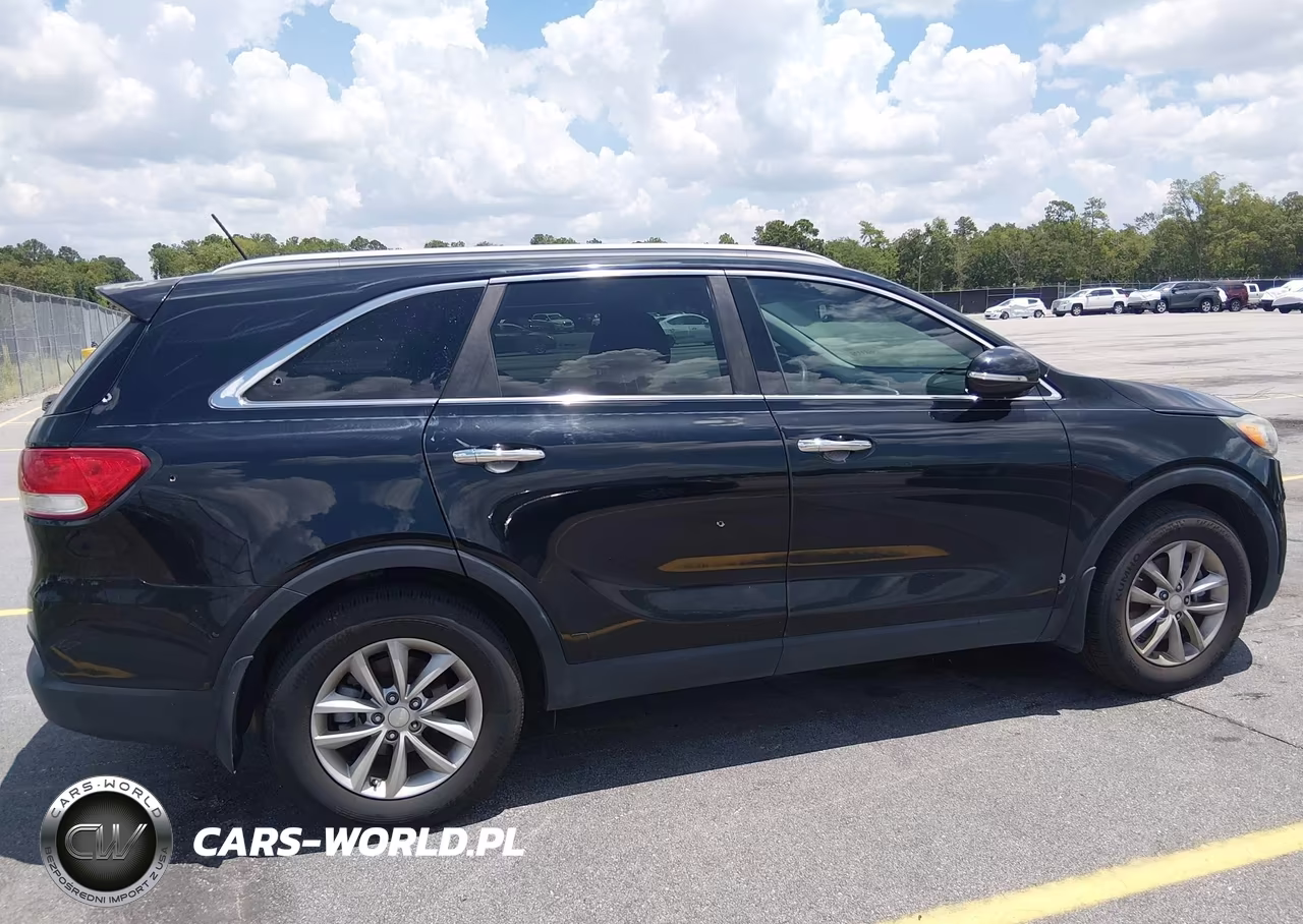2016 Kia Sorento 3.3L Lx VIN:5XYPG4A59GG141665 - 6