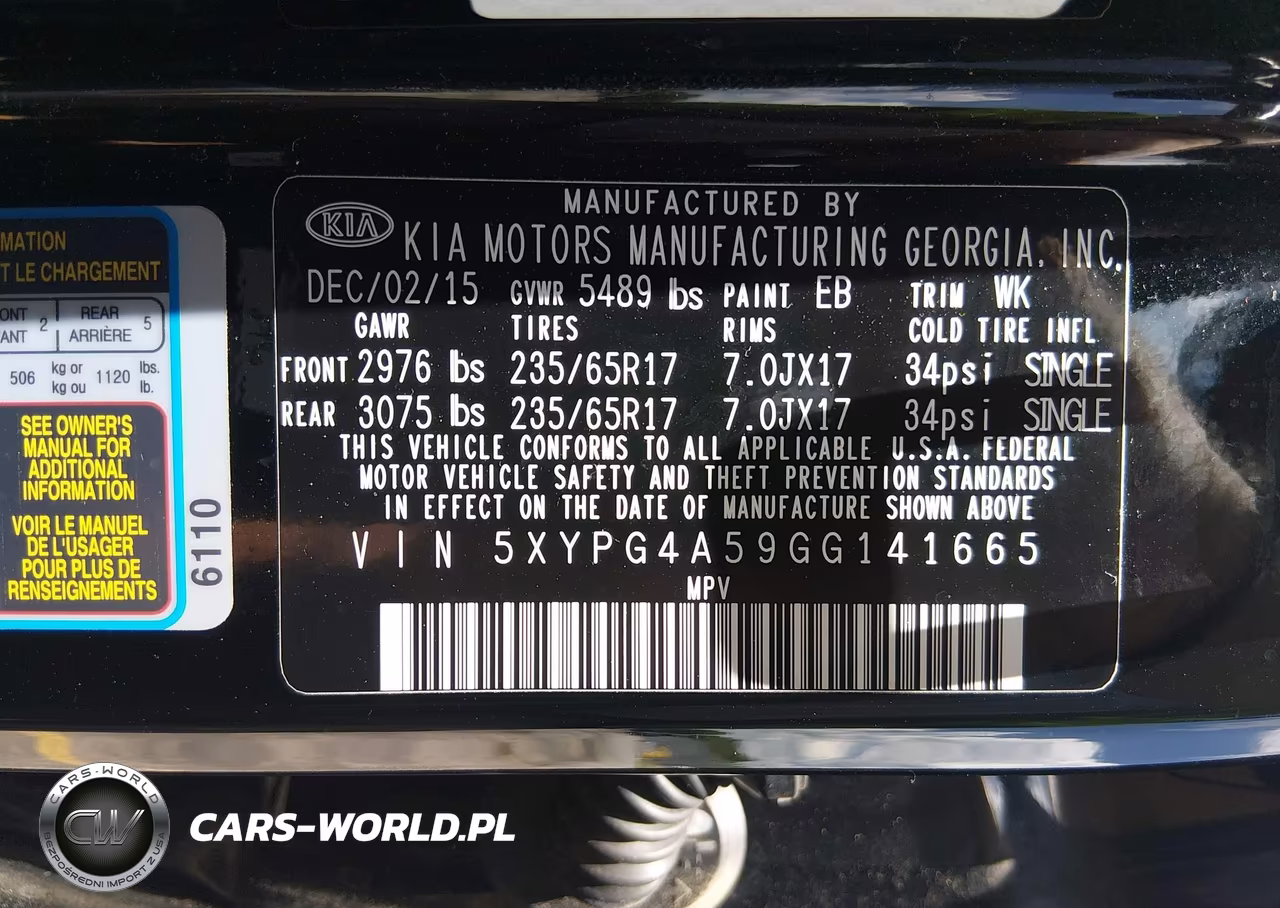 2016 Kia Sorento 3.3L Lx VIN:5XYPG4A59GG141665 - 9
