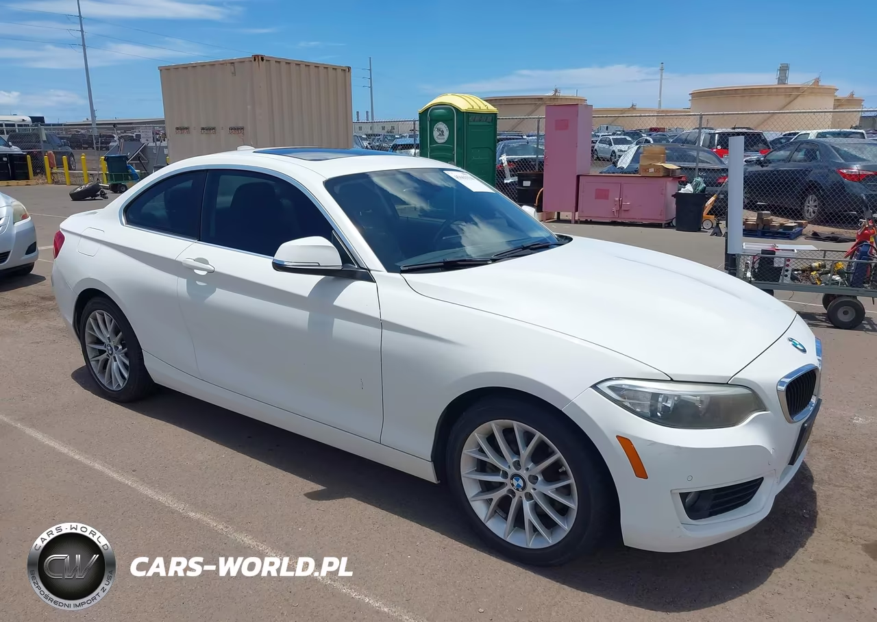 2015 BMW 228I VIN:WBA1F5C55FV256666 - 1