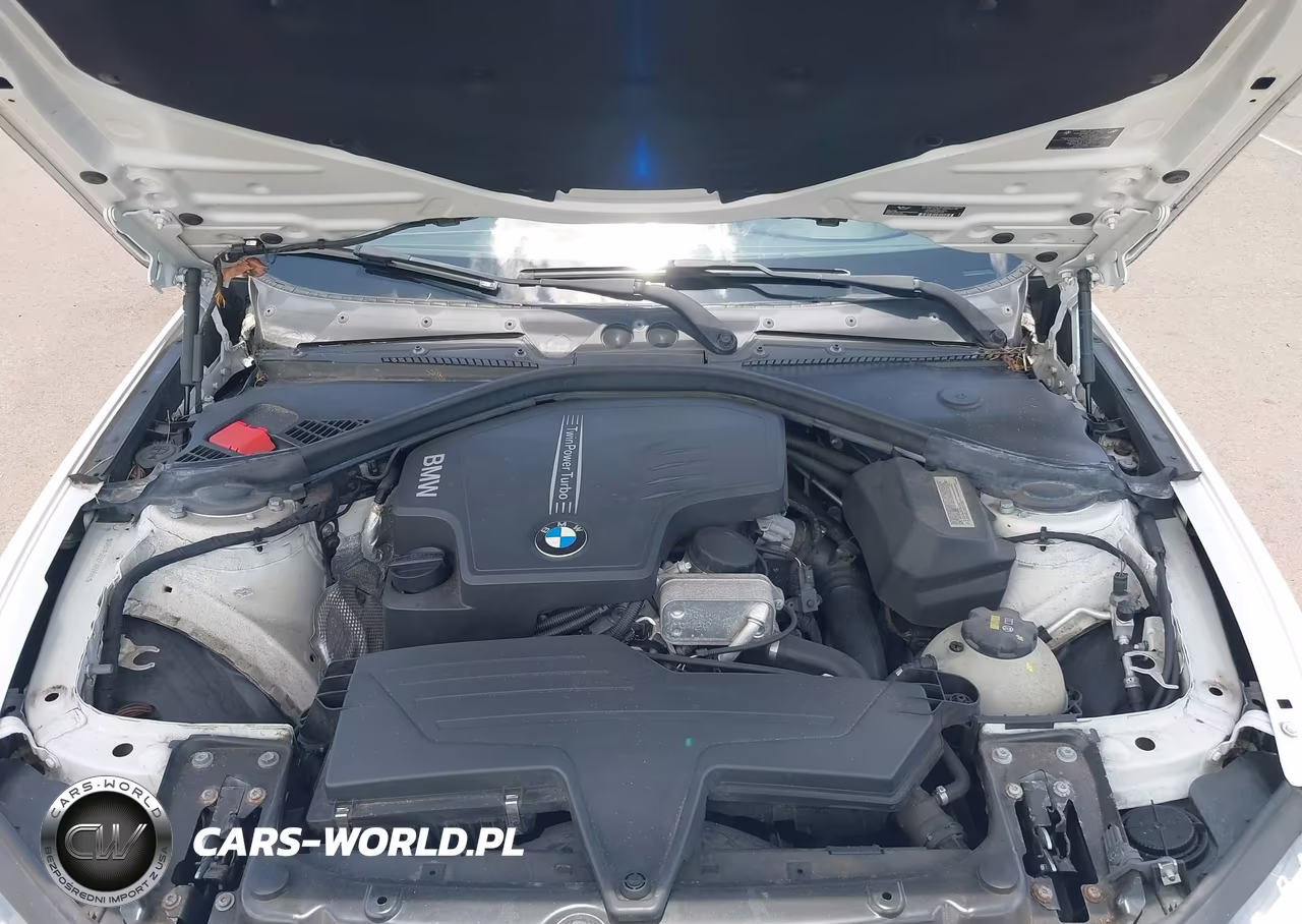 2015 BMW 228I VIN:WBA1F5C55FV256666 - 10