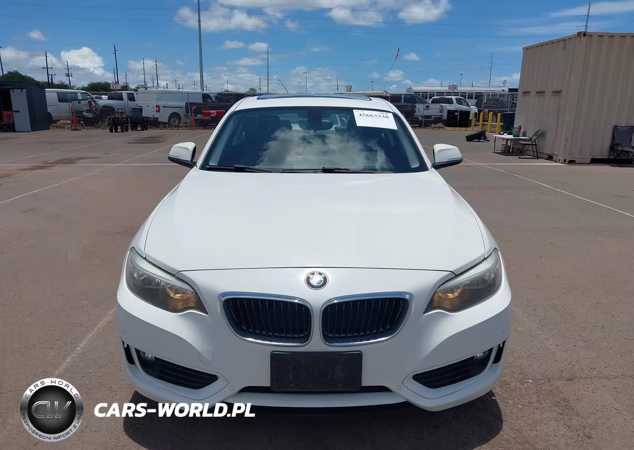 2015 BMW 228I VIN:WBA1F5C55FV256666 - 12