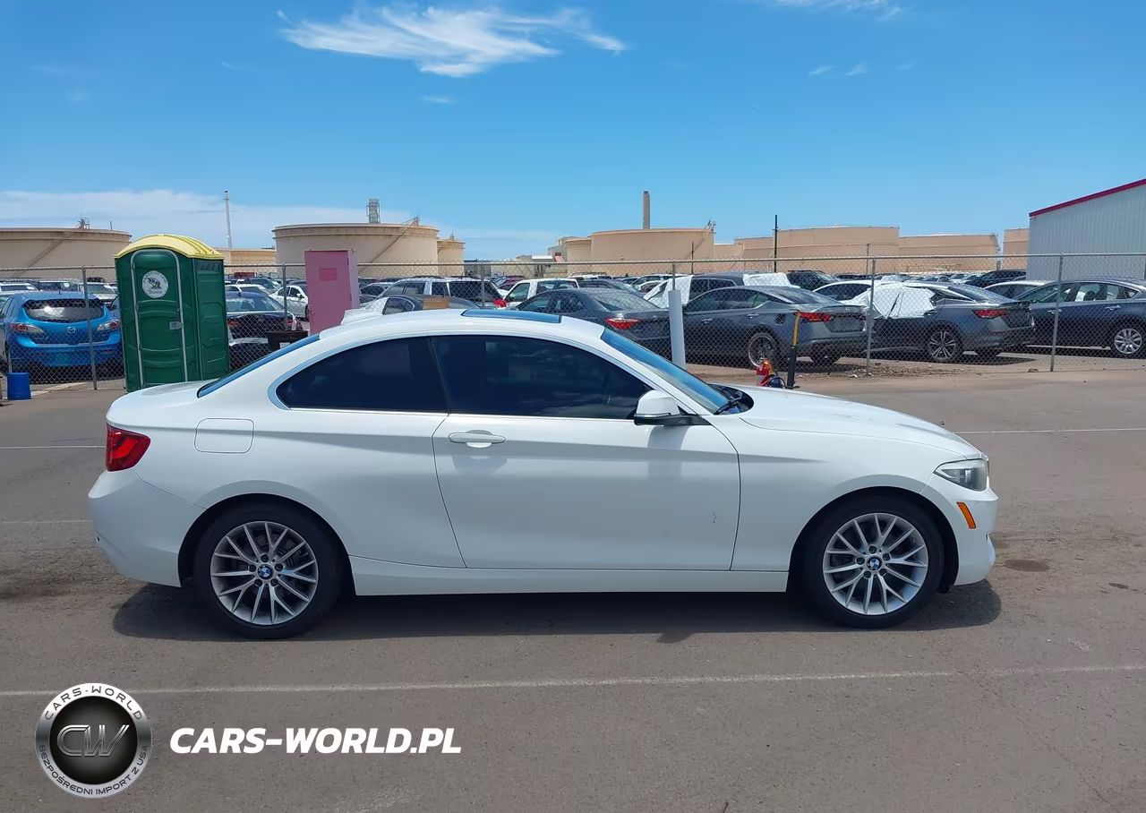 2015 BMW 228I VIN:WBA1F5C55FV256666 - 13