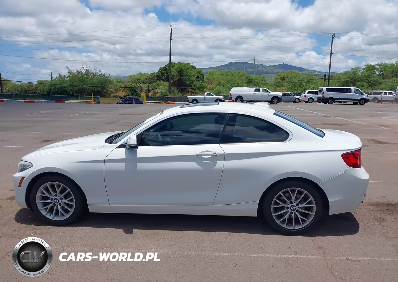 2015 BMW 228I VIN:WBA1F5C55FV256666 - 14