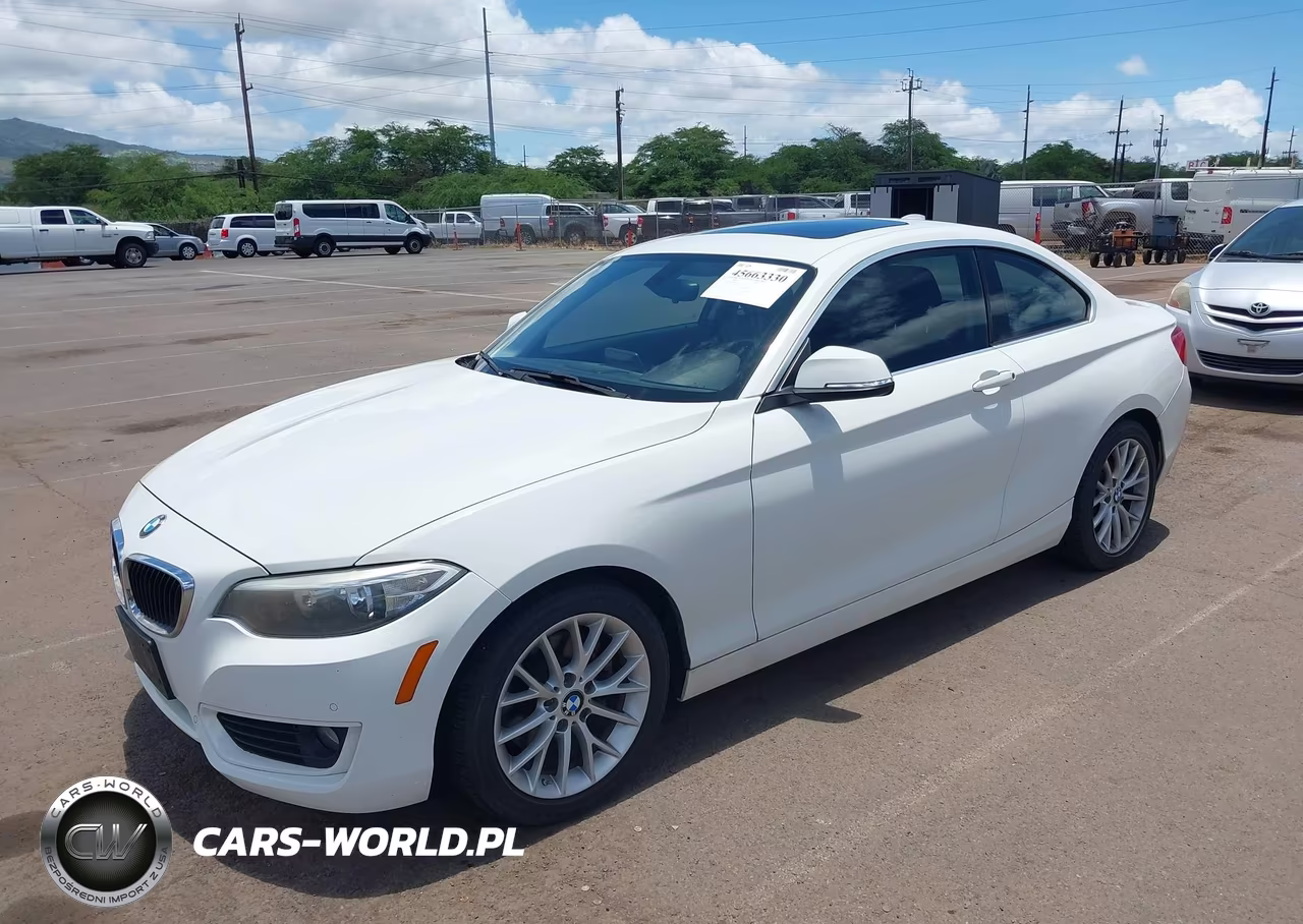2015 BMW 228I VIN:WBA1F5C55FV256666 - 2