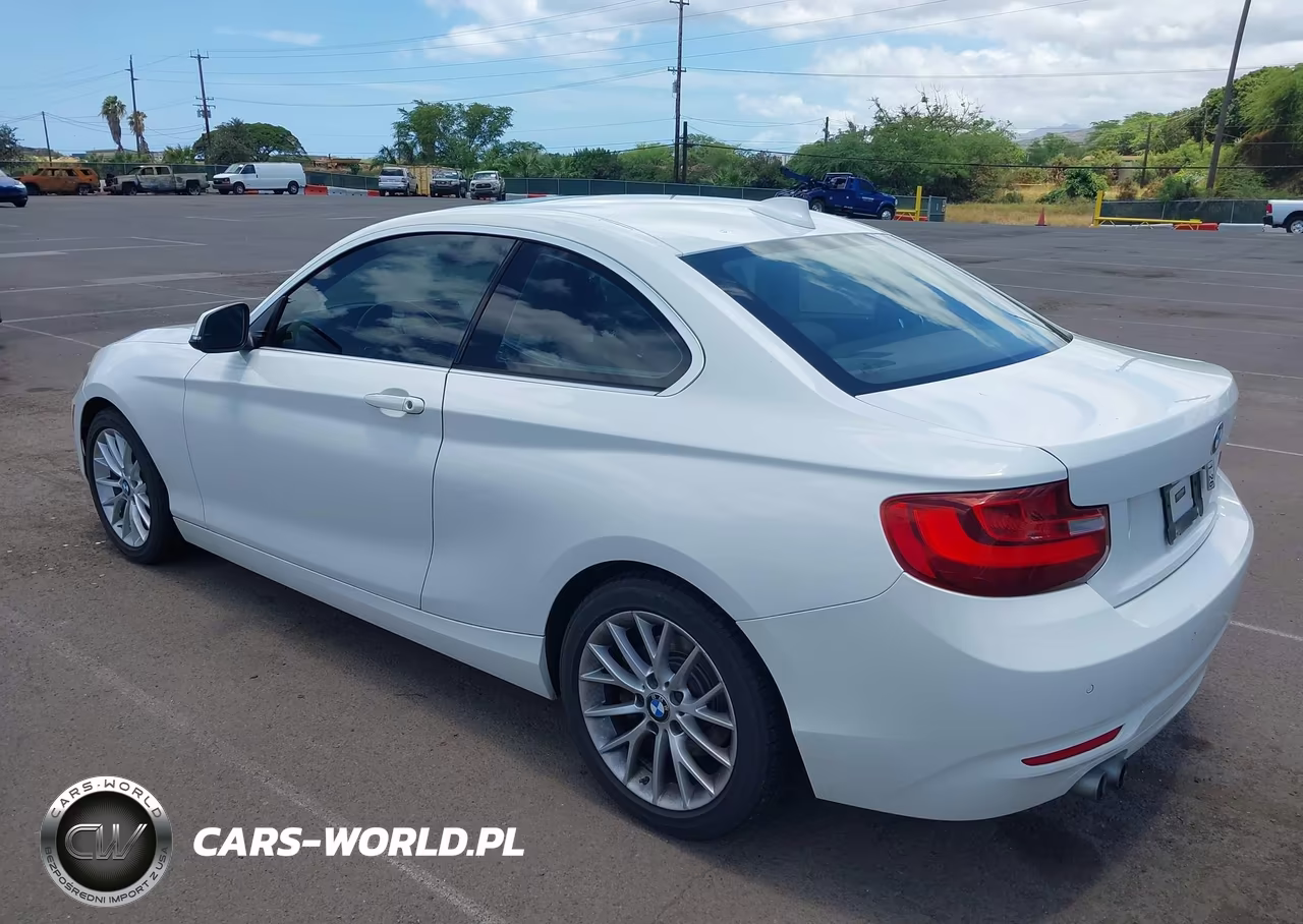 2015 BMW 228I VIN:WBA1F5C55FV256666 - 3