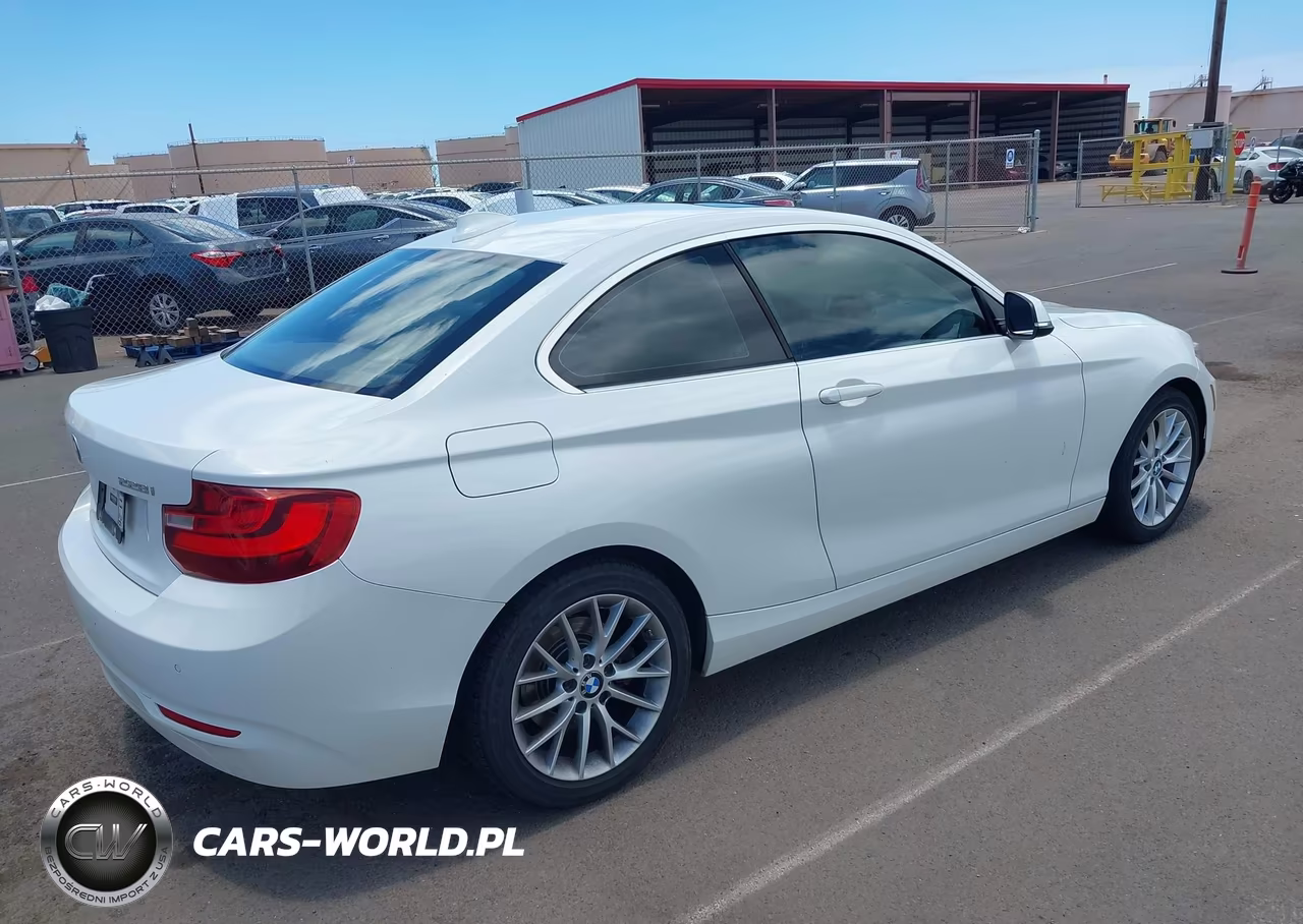 2015 BMW 228I VIN:WBA1F5C55FV256666 - 4