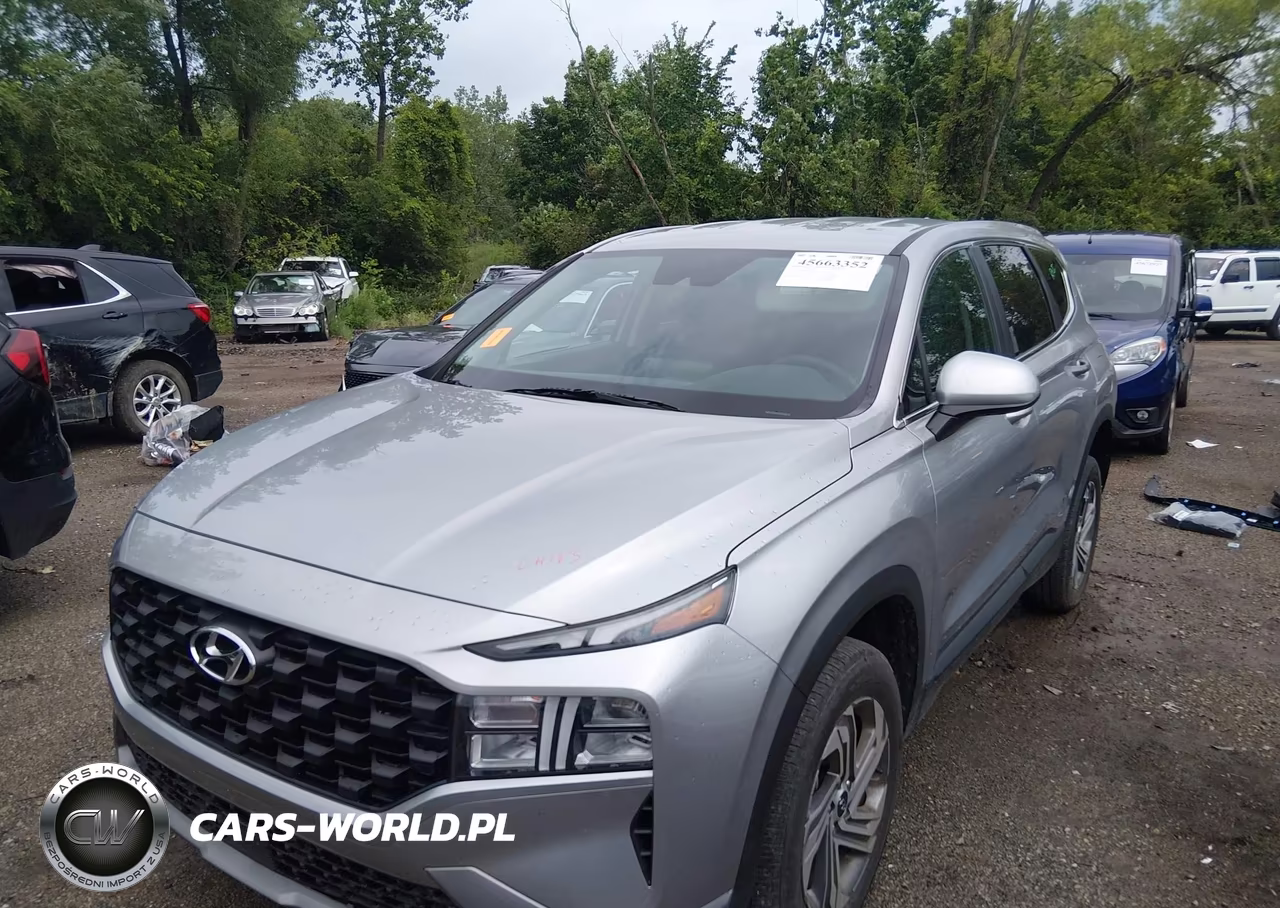2023 Hyundai Santa Fe Se VIN:5NMS1DAJ6PH613805 - 2