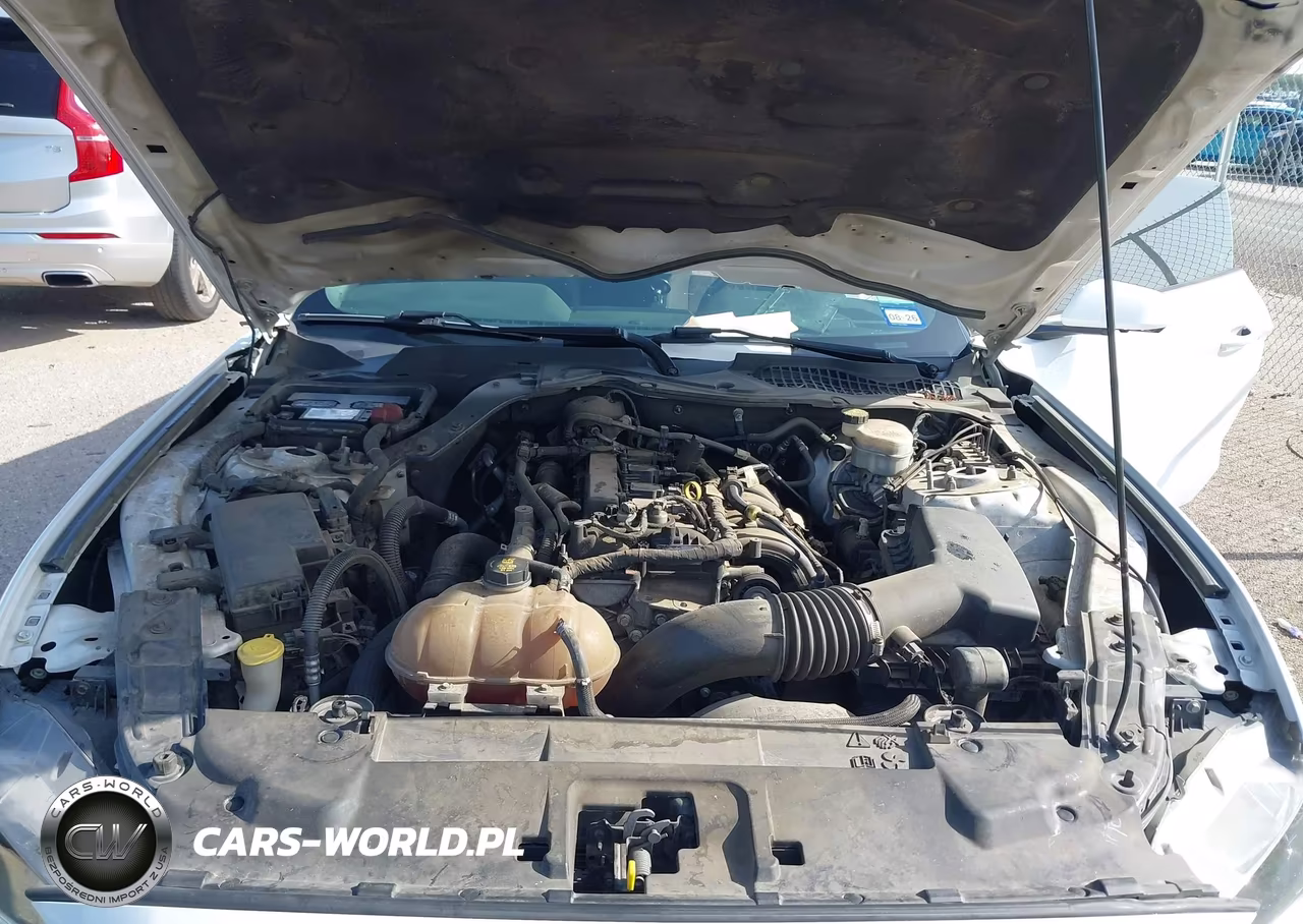 2018 Ford Mustang Ecoboost VIN:1FA6P8THXJ5159835 - 10