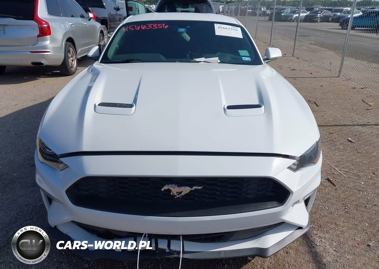 2018 Ford Mustang Ecoboost VIN:1FA6P8THXJ5159835 - 12