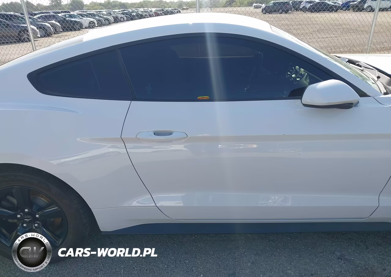 2018 Ford Mustang Ecoboost VIN:1FA6P8THXJ5159835 - 13