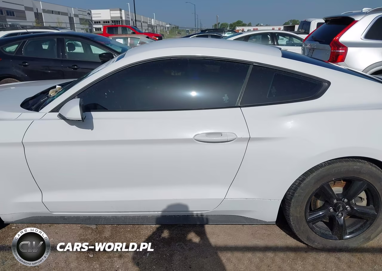2018 Ford Mustang Ecoboost VIN:1FA6P8THXJ5159835 - 14