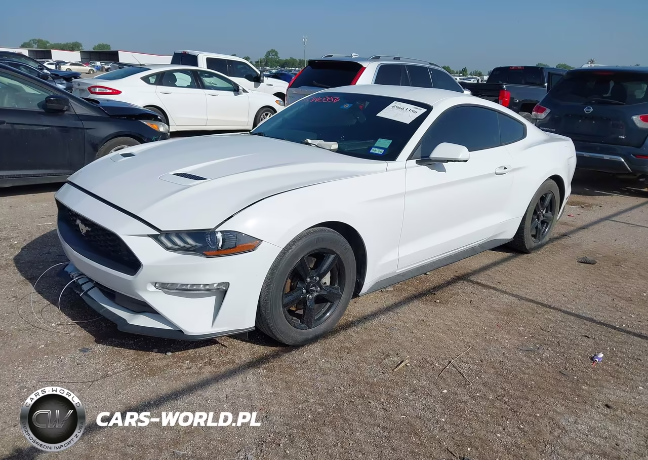 2018 Ford Mustang Ecoboost VIN:1FA6P8THXJ5159835 - 2