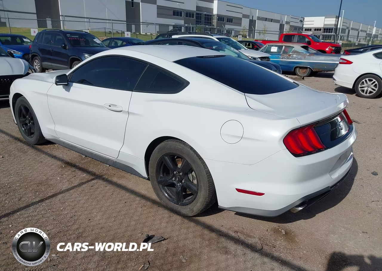 2018 Ford Mustang Ecoboost VIN:1FA6P8THXJ5159835 - 3
