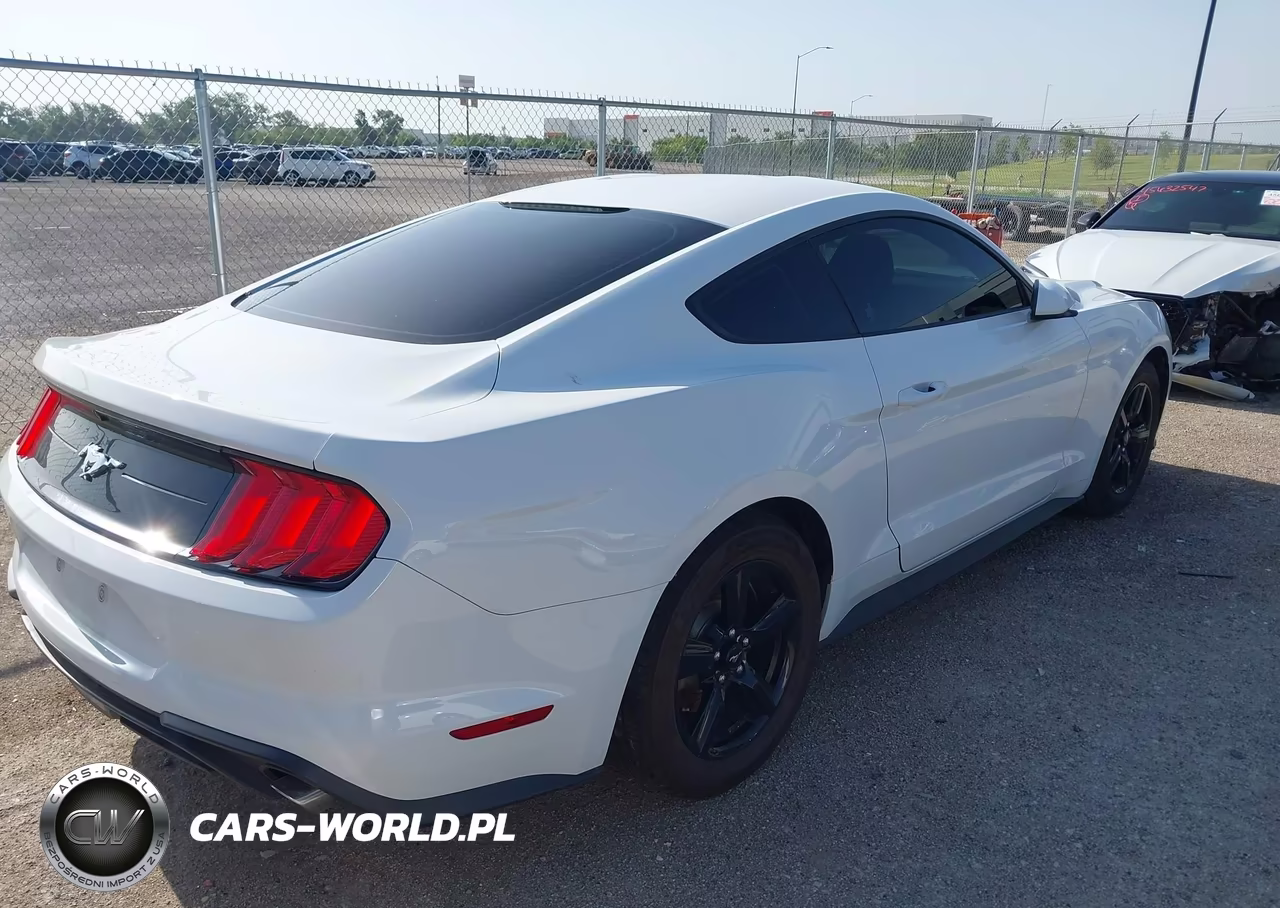 2018 Ford Mustang Ecoboost VIN:1FA6P8THXJ5159835 - 4