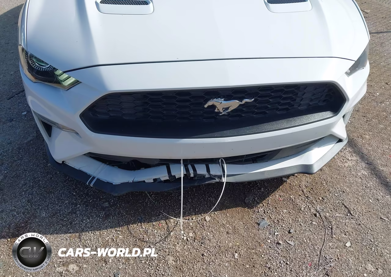 2018 Ford Mustang Ecoboost VIN:1FA6P8THXJ5159835 - 6
