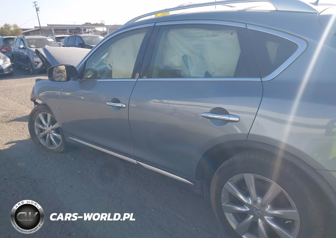 2017 Infiniti Qx50 VIN:JN1BJ0RP3HM382215 - 13