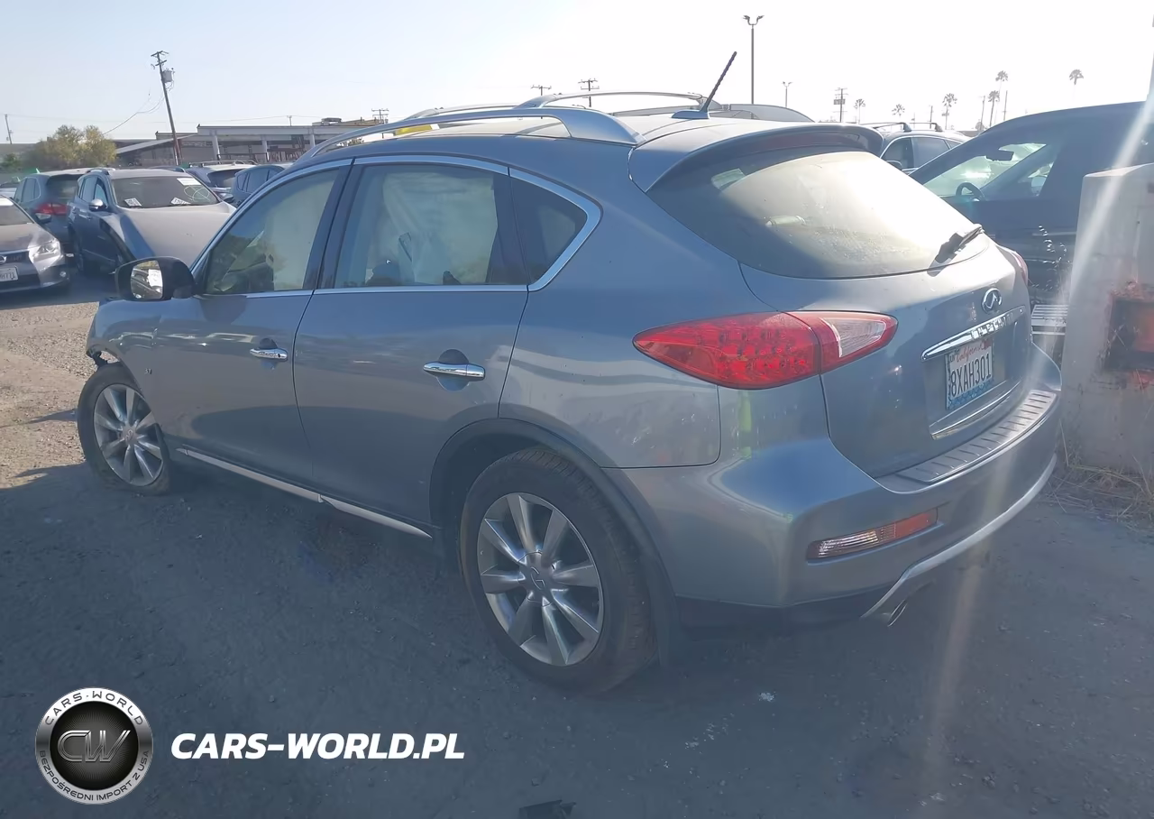 2017 Infiniti Qx50 VIN:JN1BJ0RP3HM382215 - 3