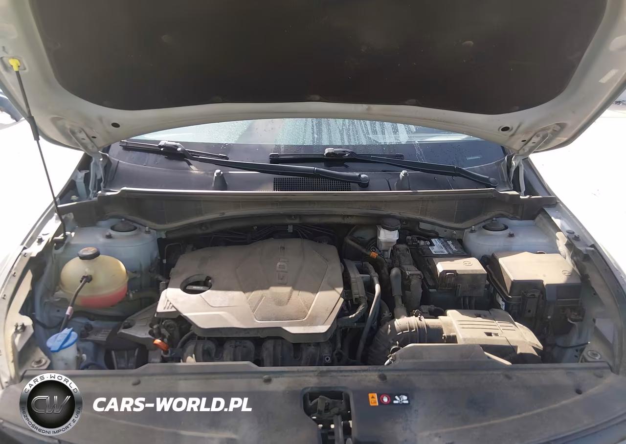 2023 Kia Sportage Sx VIN:5XYK43AF6PG050990 - 10