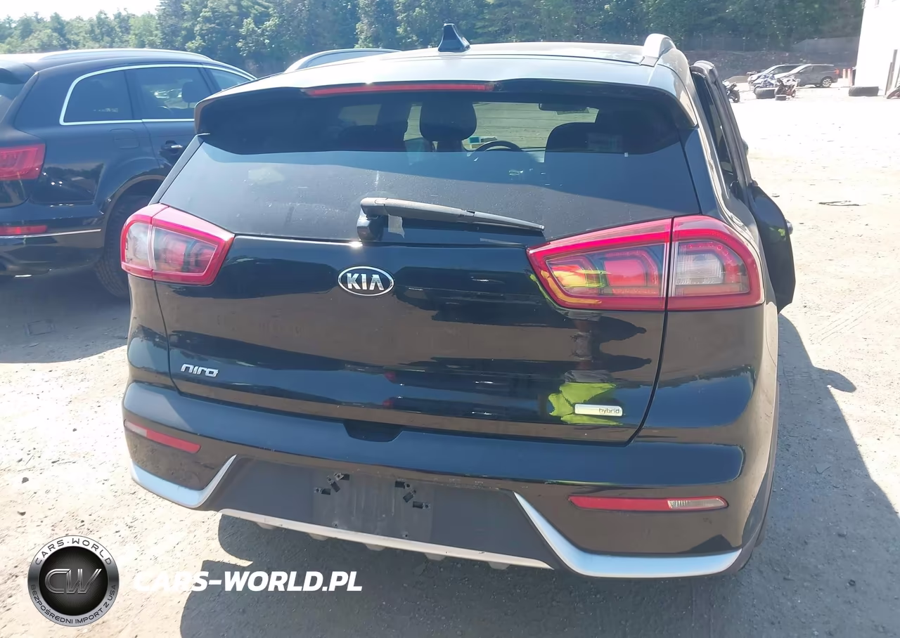 2019 Kia Niro Lx VIN:KNDCB3LC8K5245052 - 16