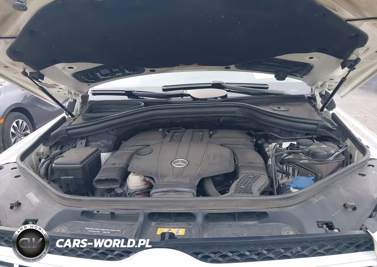 2018 Mercedes-Benz Gls 450 4Matic VIN:4JGDF6EE4JB081951 - 10