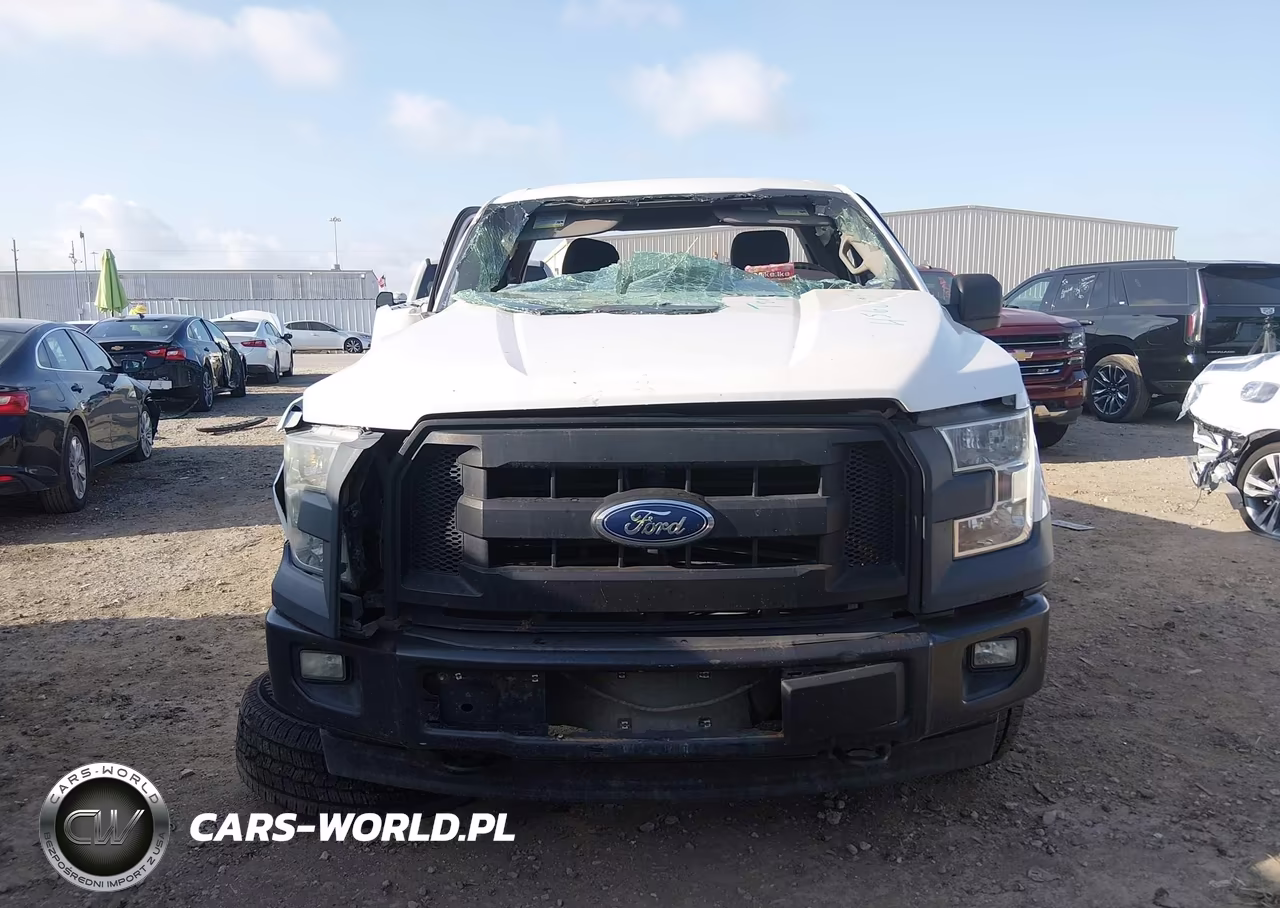 2017 Ford F-150 Xl VIN:1FTMF1EFXHKC44094 - 13