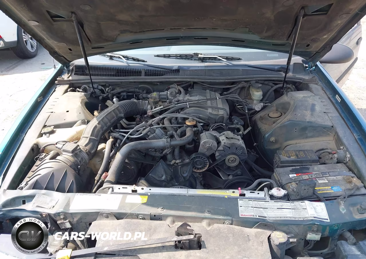 1993 Ford Thunderbird Lx VIN:1FAPP6241PH127855 - 10