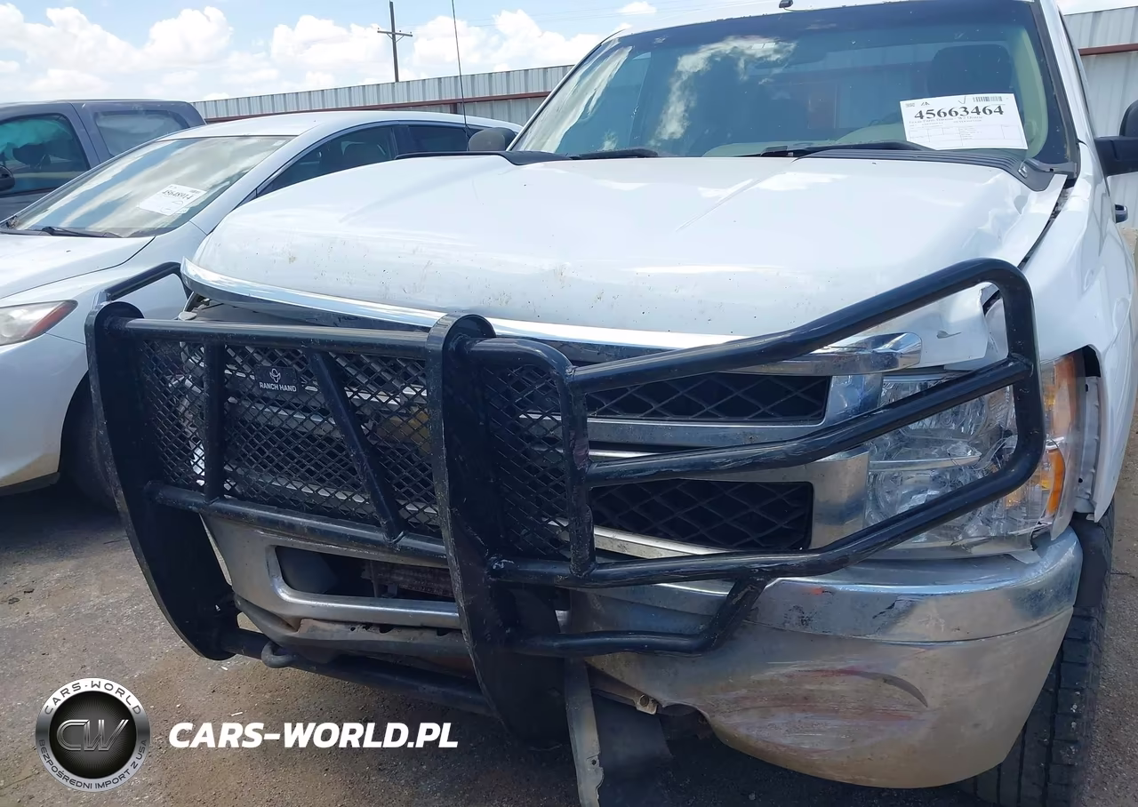 2011 Chevrolet Silverado 2500Hd Work Truck VIN:1GC2KVCG1BZ439828 - 12
