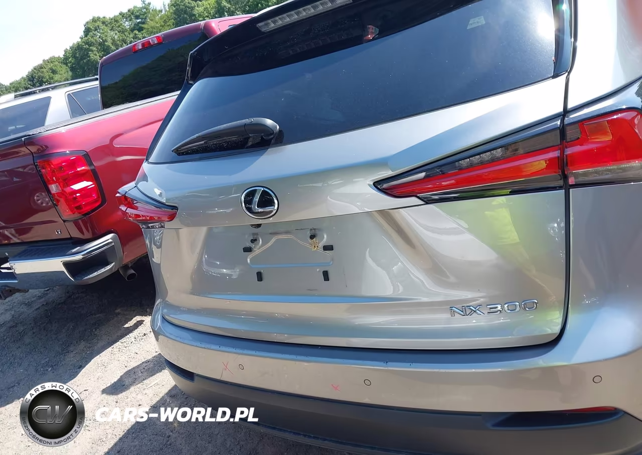 2019 Lexus Nx 300 VIN:JTJBARBZ8K2184548 - 16