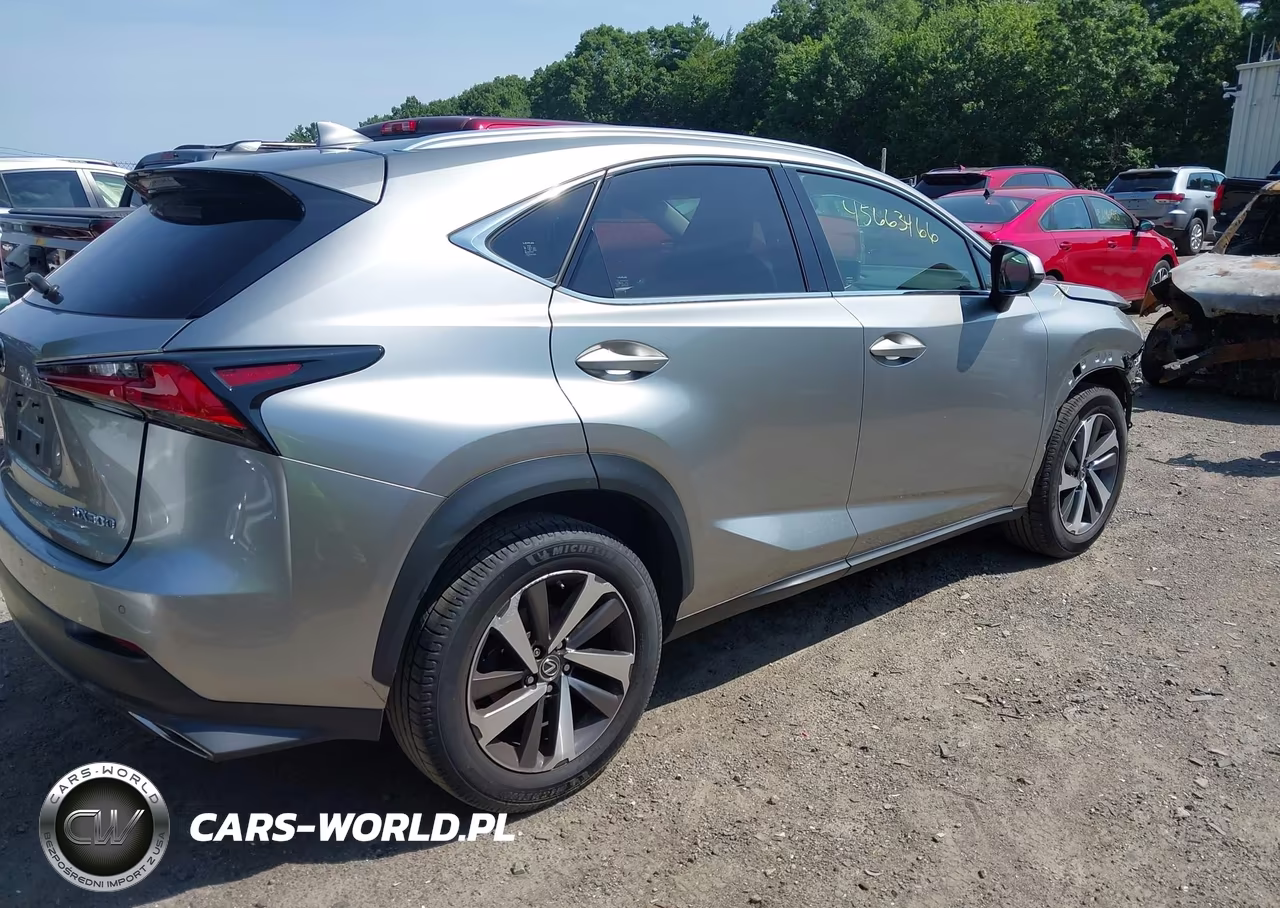 2019 Lexus Nx 300 VIN:JTJBARBZ8K2184548 - 4
