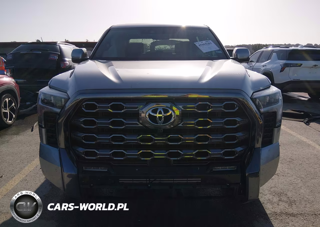 2023 Toyota Tundra Platinum VIN:5TFNA5AB0PX026048 - 12
