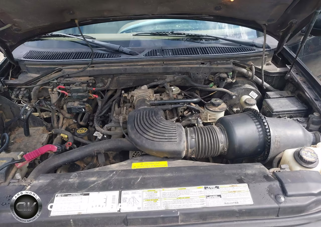 1998 Lincoln Navigator VIN:5LMPU28L9WLJ52372 - 10
