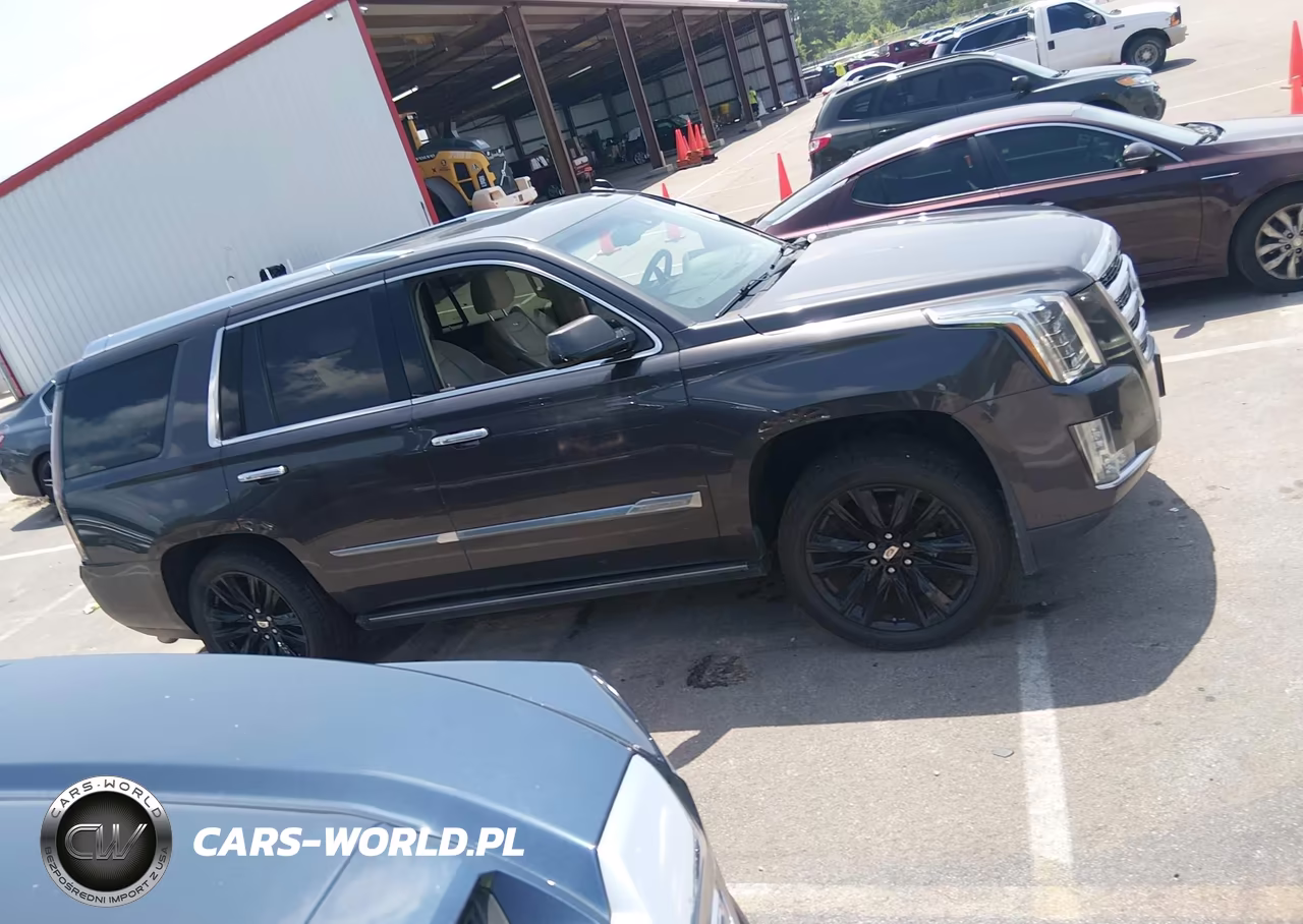2015 Cadillac Escalade Premium VIN:1GYS3CKJ9FR269880 - 13