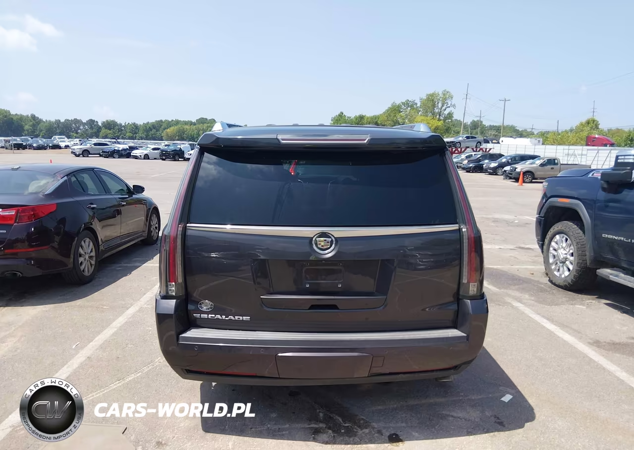 2015 Cadillac Escalade Premium VIN:1GYS3CKJ9FR269880 - 16