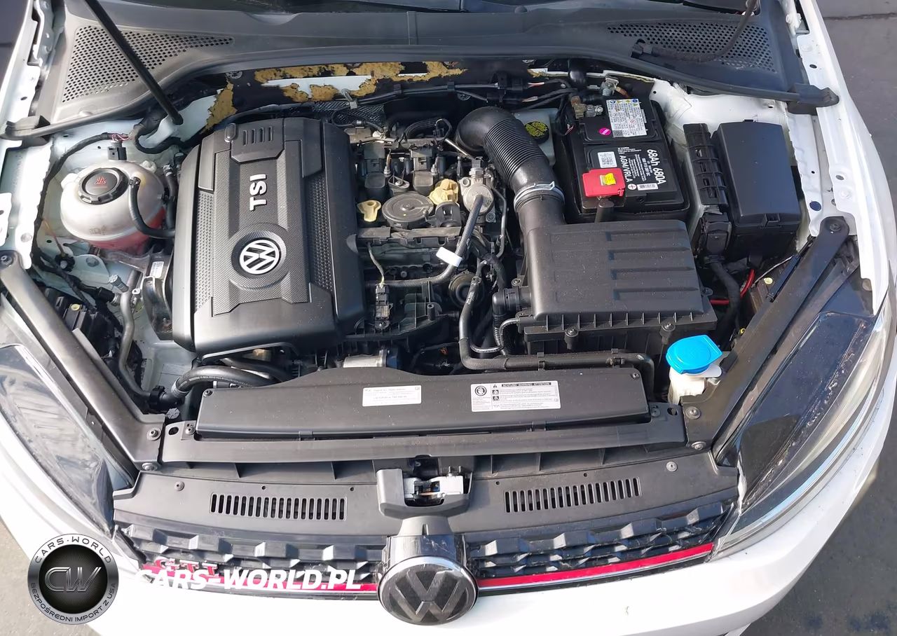 2019 Volkswagen Golf Gti 2.0T Autobahn-2.0T Rabbit Edition-2.0T S-2.0T Se VIN:3VW6T7AU3KM016363 - 10