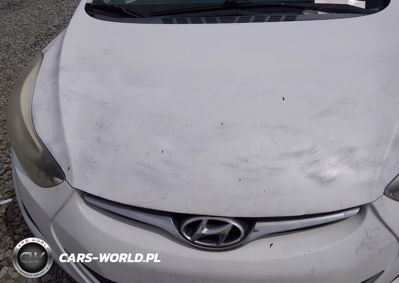 2015 Hyundai Elantra Se VIN:5NPDH4AE8FH634762 - 15