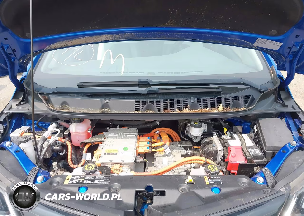 2018 Chevrolet Bolt Ev Premier VIN:1G1FX6S03J4114194 - 10