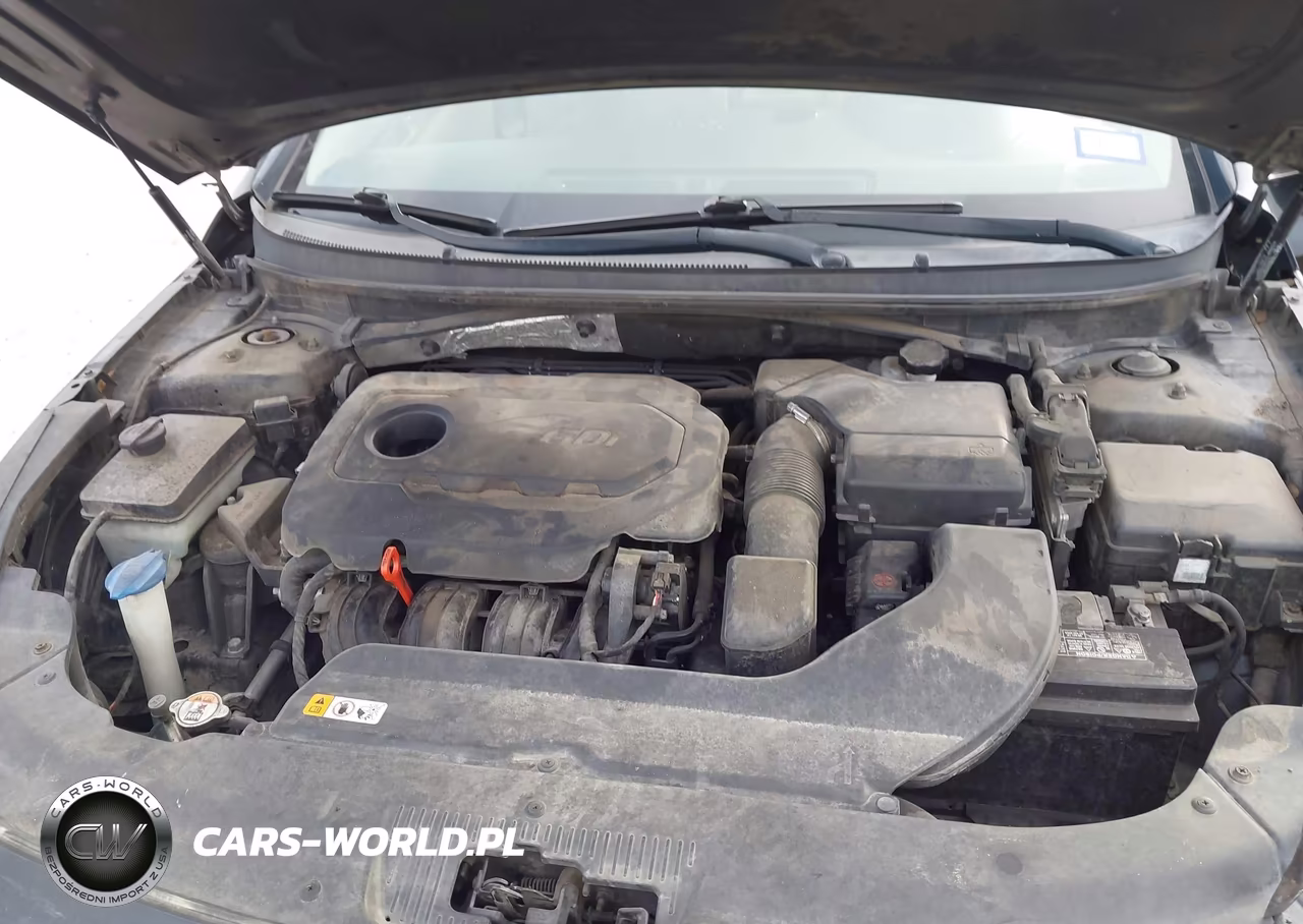 2015 Hyundai Sonata Se VIN:5NPE24AF7FH123123 - 10