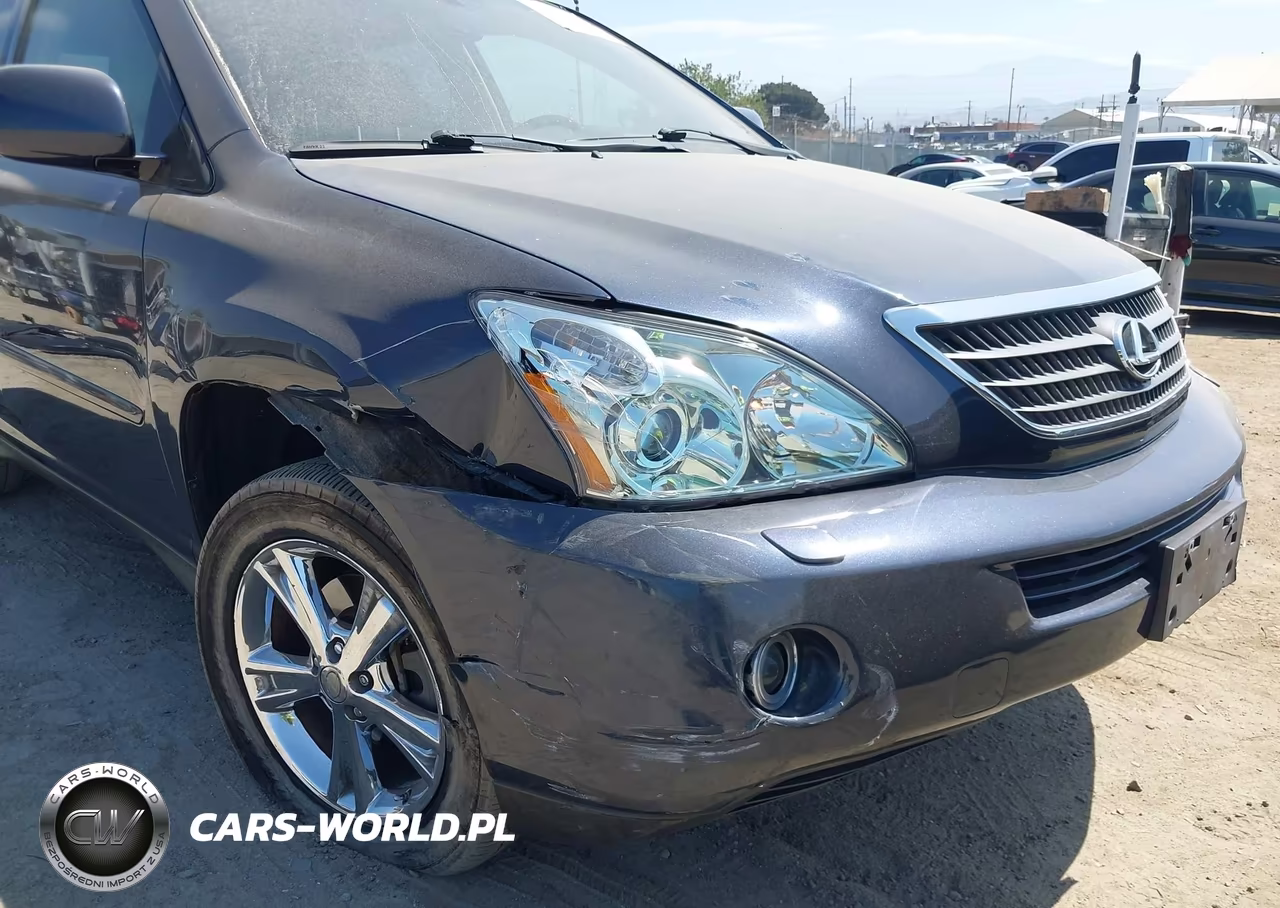 2007 Lexus Rx 400H VIN:JTJGW31U872003966 - 12