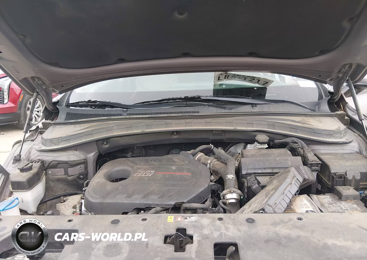 2019 Hyundai Santa Fe Limited 2.0T VIN:5NMS53AA2KH067530 - 10
